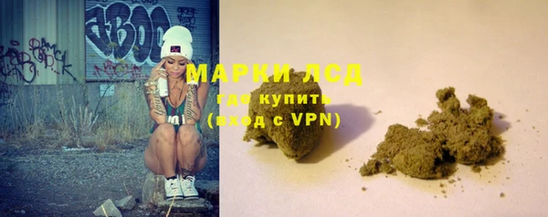 spice Аркадак