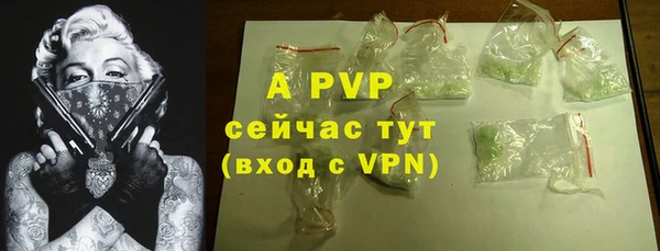 спайс Арсеньев