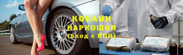 спайс Арсеньев