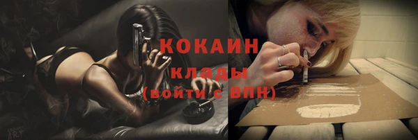 шишки Осинники