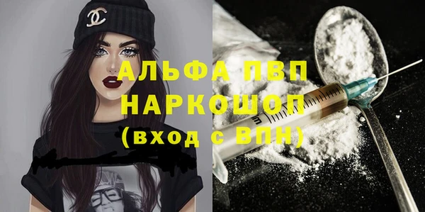 spice Аркадак