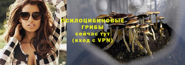 стаф Армянск