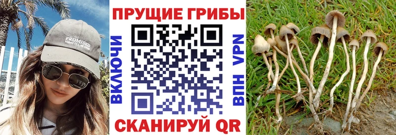 Псилоцибиновые грибы GOLDEN TEACHER  наркошоп  Рузаевка 